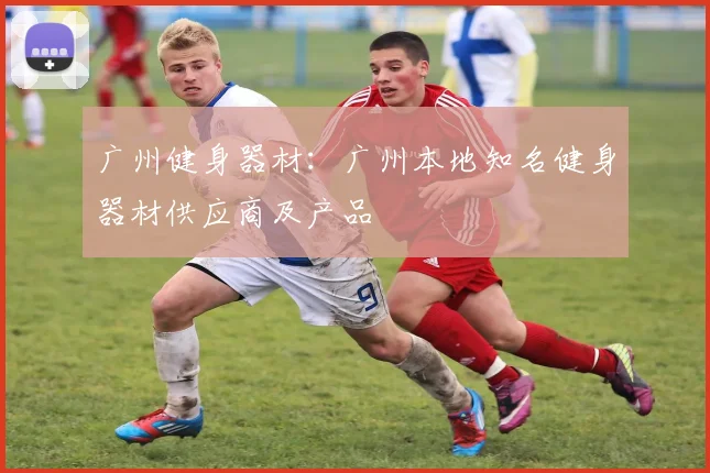 广州健身器材：广州本地知名健身器材供应商及产品