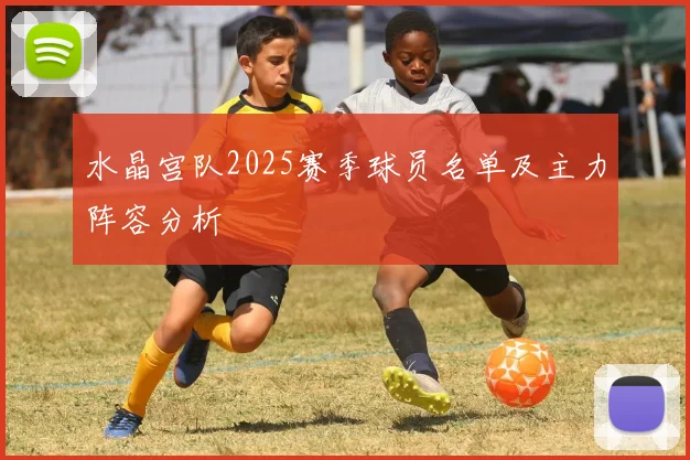 水晶宫队2025赛季球员名单及主力阵容分析